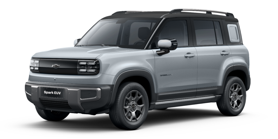 Gentle Gray with Star Twinkle Black Roof 