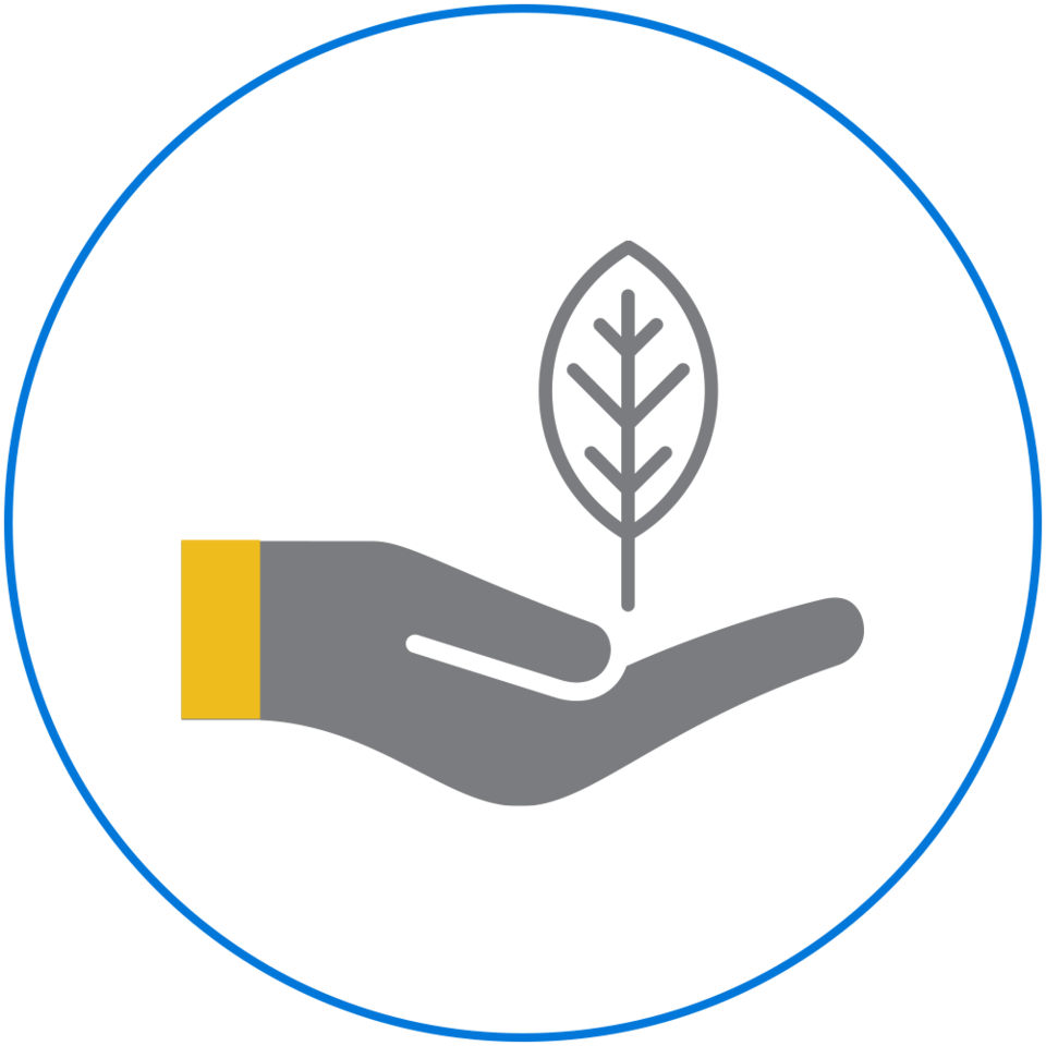 Cuidado del medio ambiente