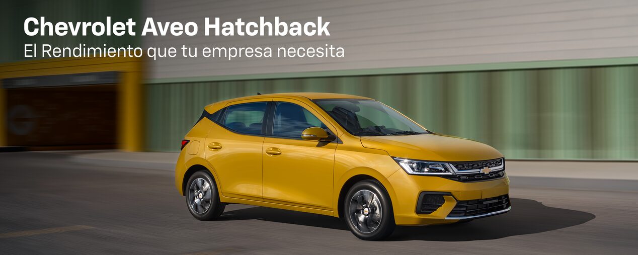 Chevrolet Aveo Hatchback en Fleet Services