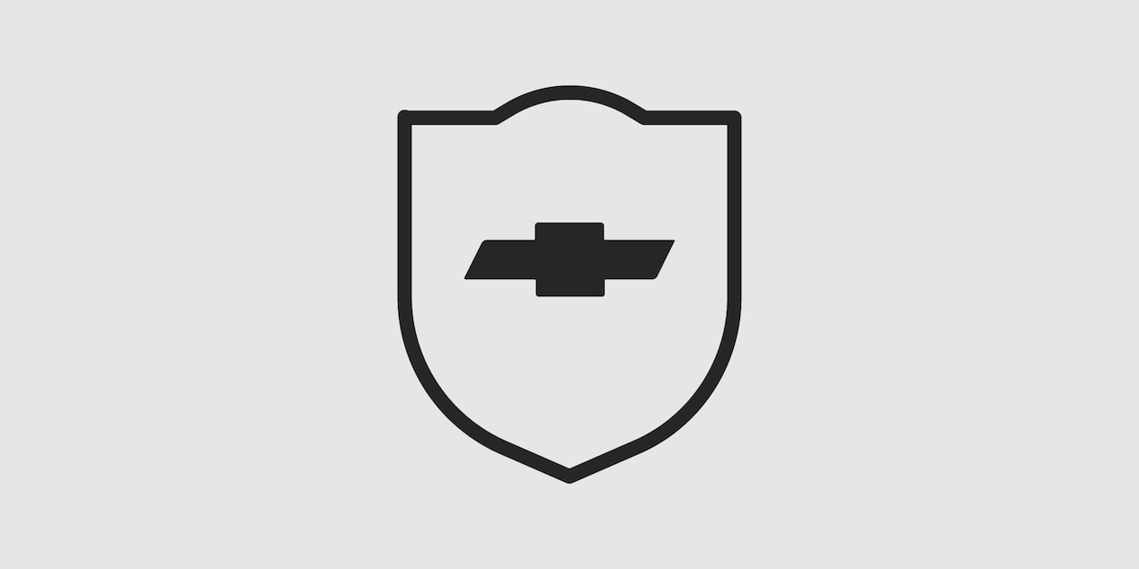 conducción y seguridad