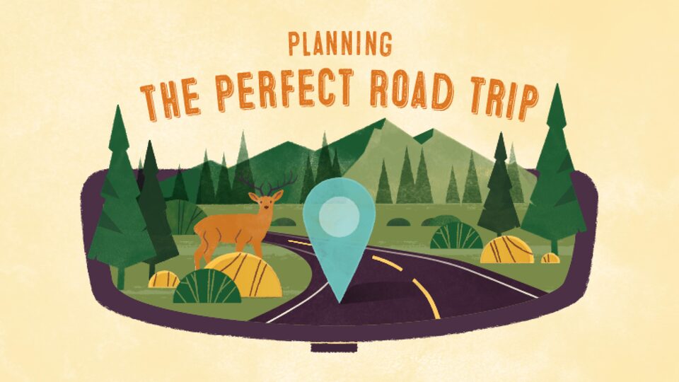 An illustration of a road running through a landscape of mountains and trees, with a deer on the side of the road. Text over image reads: Planning the perfect road trip.