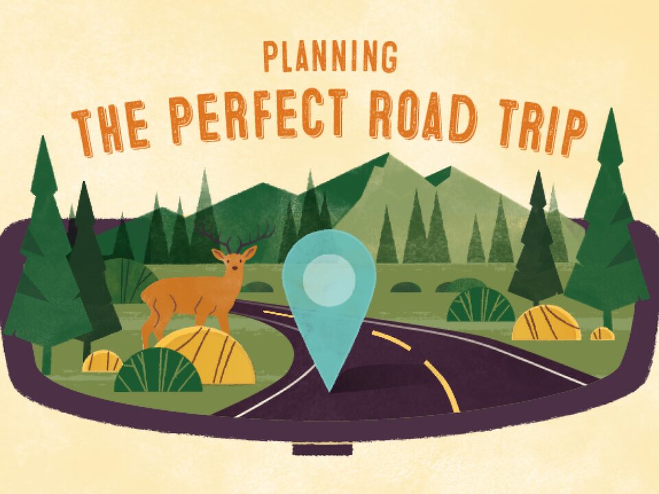 An illustration of a road running through a landscape of mountains and trees, with a deer on the side of the road. Text over image reads: Planning the perfect road trip.
