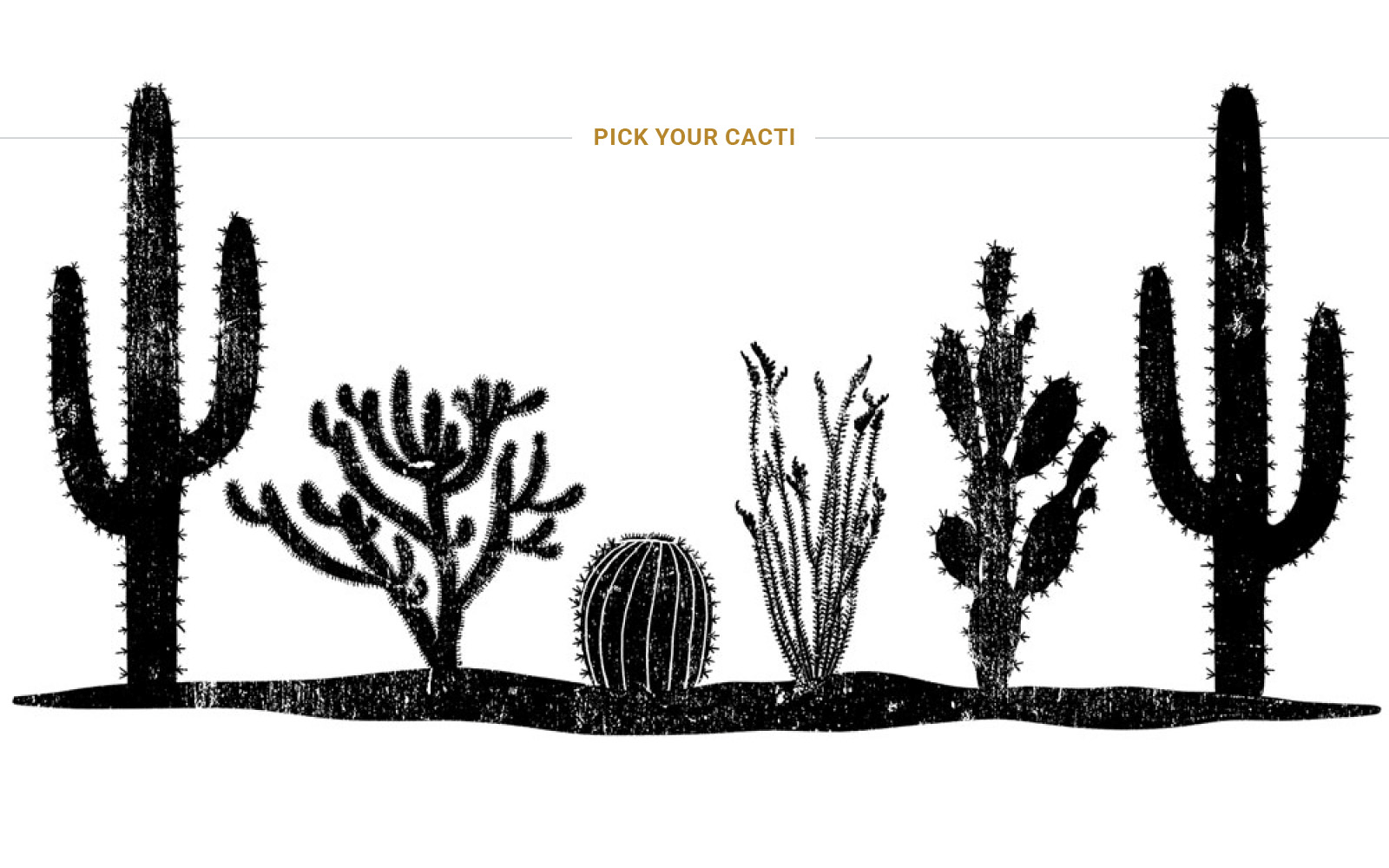 A gif animation highlighting different types of cactus found in the Arizona desert: saguaro, jumping cholla, barrel cactus, ocotillo, and prickly pear.