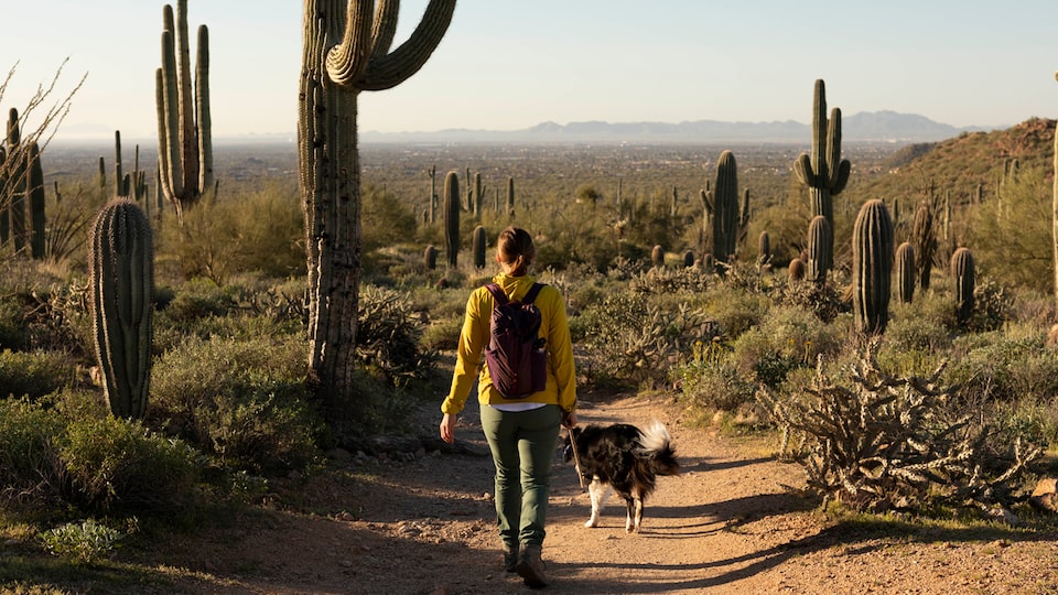 A woman wearing a backpack walks down a dirt trail in the desert with her dog, surrounded by cactus and with mountains in the distance.