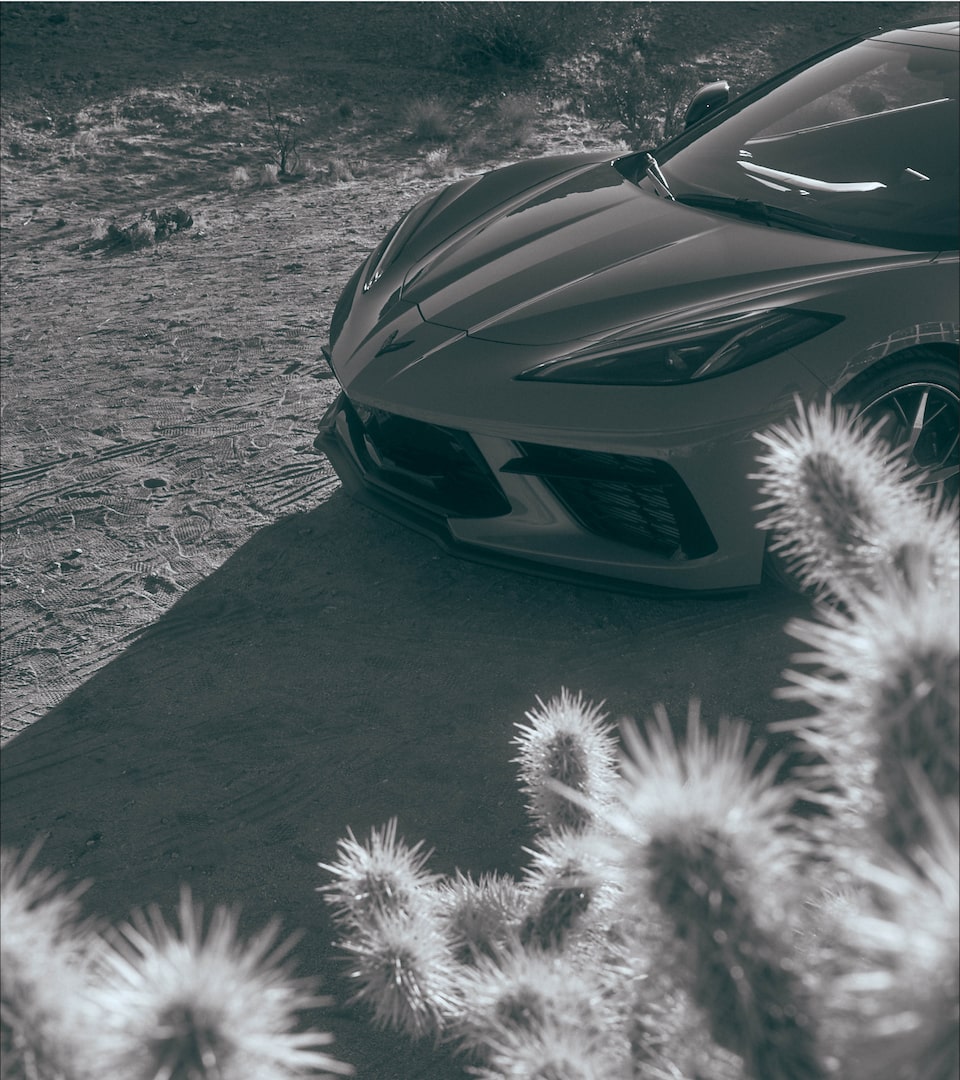 The front end of a 2020 Corvette in a desert environment with cholla cactus in the foreground