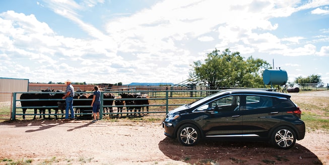 A man and woman stand near a group of cows, with a Bolt EV in the foreground.