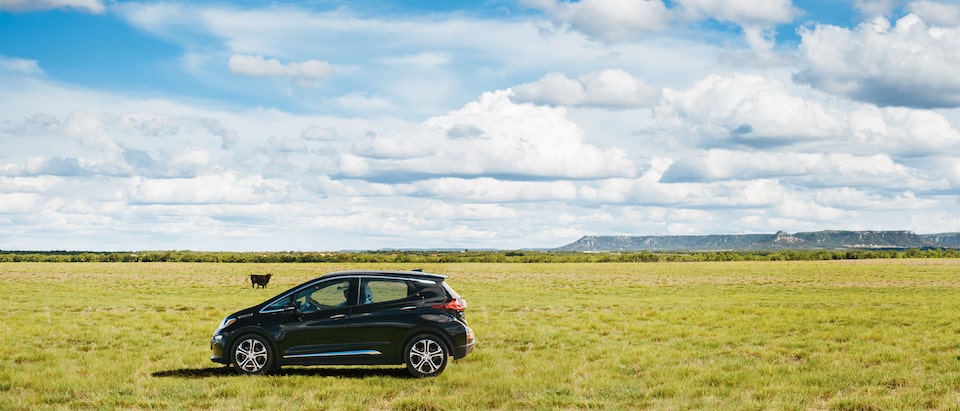 Harry Akers inside his Bolt EV, seen in a pasture on his ranch.