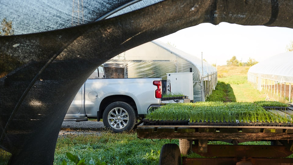 A trailer topped with flats of plants, shown with the cargo bed of a 2019 Chevy Silverado in the background.