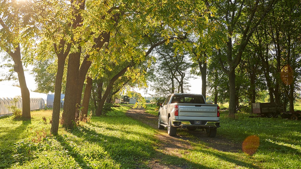 The rear of a 2019 Chevy Silverado drives under a tree canopy on a two-track dirt road.