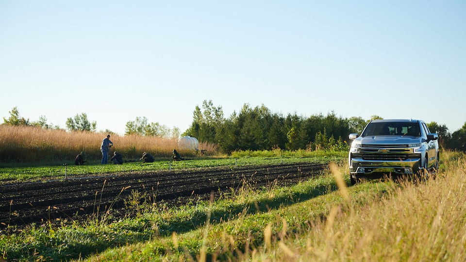 A 2019 Chevy Silverado drives past a small field of crops on a two-track dirt road.