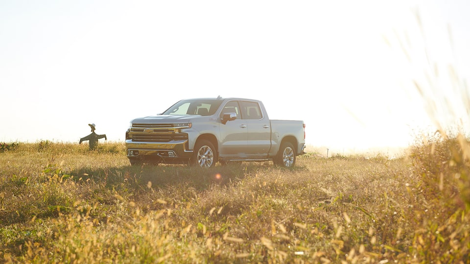 A 2019 Chevy Silverado Crew Cab parked in a field with a scarecrow in the background.