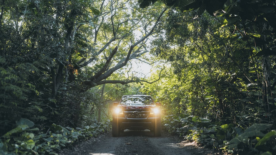 Front view of a red Chevrolet Colorado ZR2 with the headlights on as it drives down a trail lined with dense greenery.
