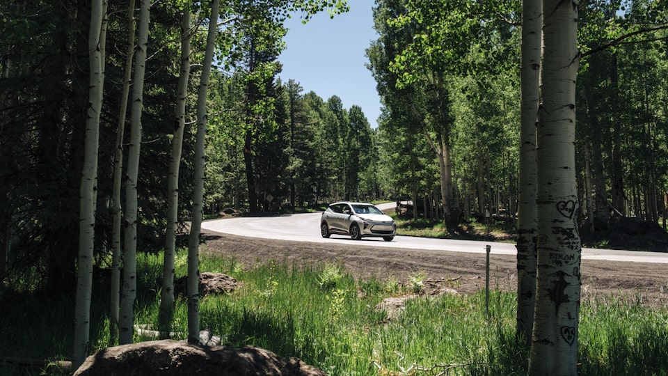 A Chevrolet Bolt EUV drives along a winding road between tall columns of evergreen trees and a blue sky above.