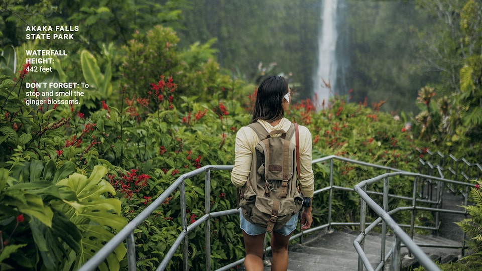 A woman walking down concrete steps with metal rails on both sides, surrounded by lush greenery and with a narrow, high waterfall in the distance.