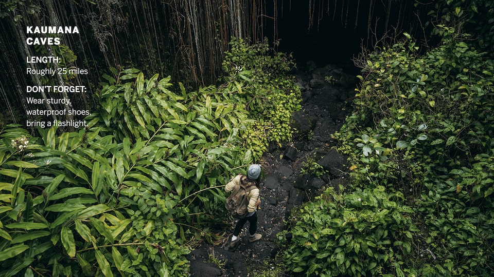 A woman wearing a backpack is seen from above in a drone shot hiking on a narrow path through lush greenery in a forest.