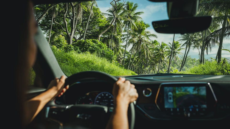 A shot of blue sky, palm trees, and a very green landscape seen through the windshield of a Chevrolet Blazer.