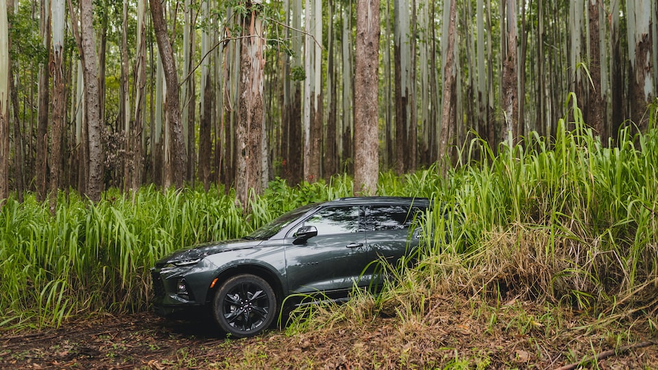  A gray Chevrolet Blazer emerges from between high green plants on a two-track dirt road.