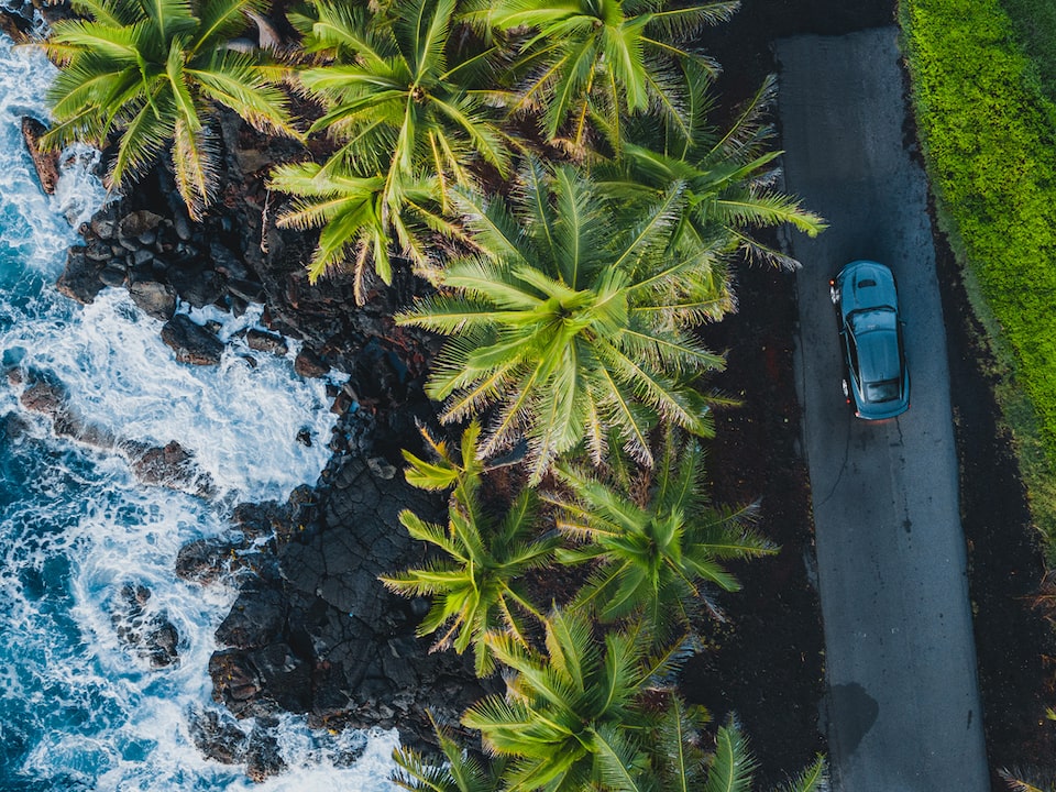 Una vista aérea de un Camaro SS 2020 detenido en un camino de un carril con palmeras, una costa rocosa y el mar del lado del conductor.