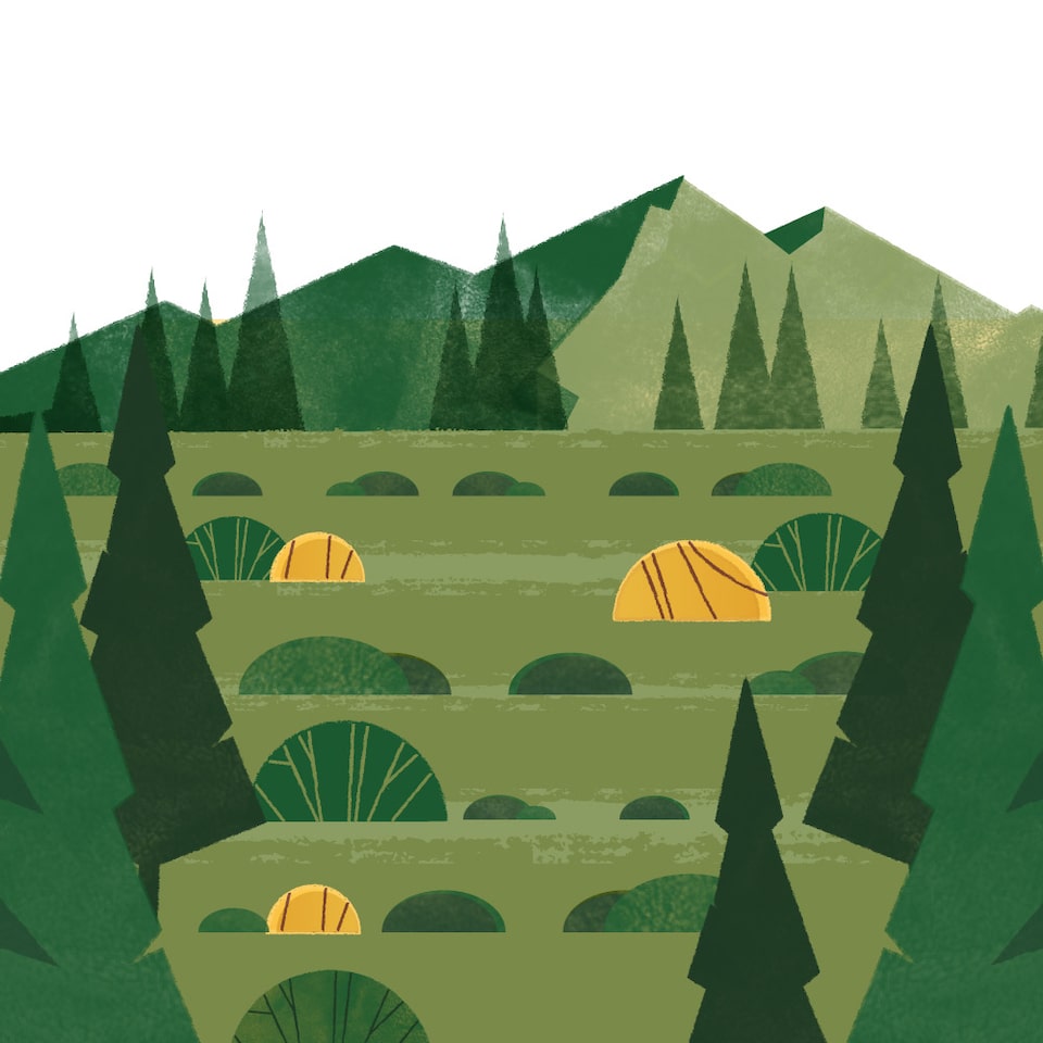 Una ilustración de montañas, árboles y campos verdes.