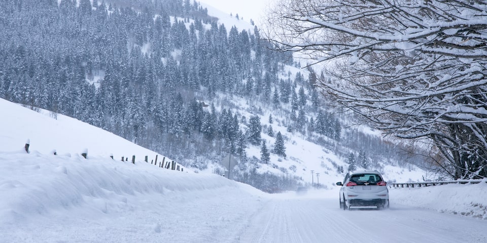 Se ve un Bolt EV Blanco desde detrás mientras maneja por una colina cubierta de nieve y rodeada de árboles nevados.
