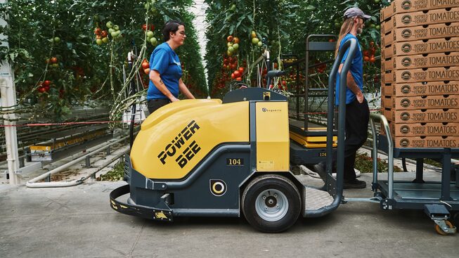Un especialista en cuidado de cultivos de AppHarvest dirige un carrito electrico repleto de tomates listos para ser enviados.