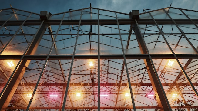 Un plano exterior que muestra el lado de vidrio del invernadero de AppHarvest con las luces encendidas en el interior.