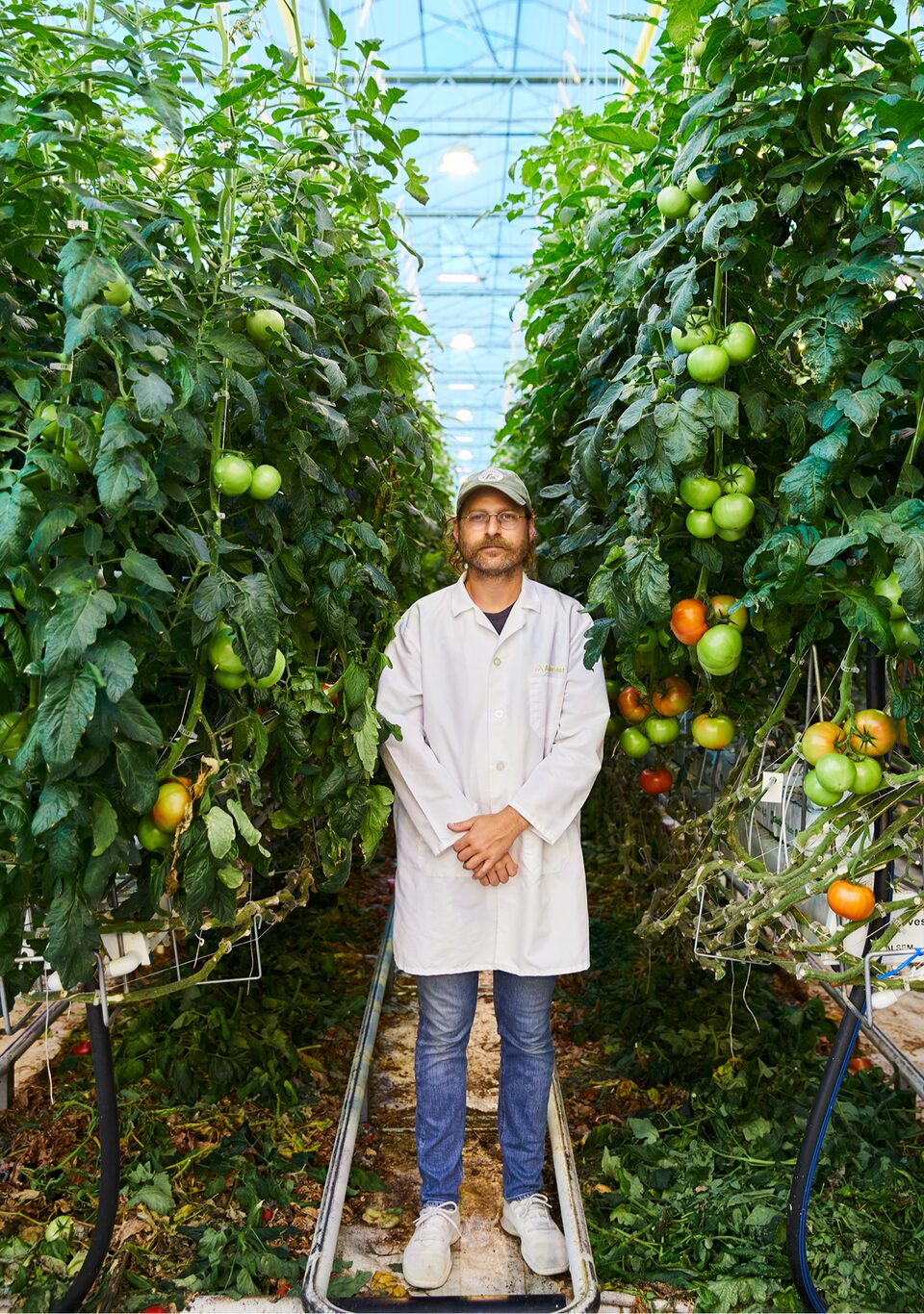 Jonathan Webb, fundador y CEO de AppHarvest, parado entre hileras de plantas de tomate dentro de un invernadero.
