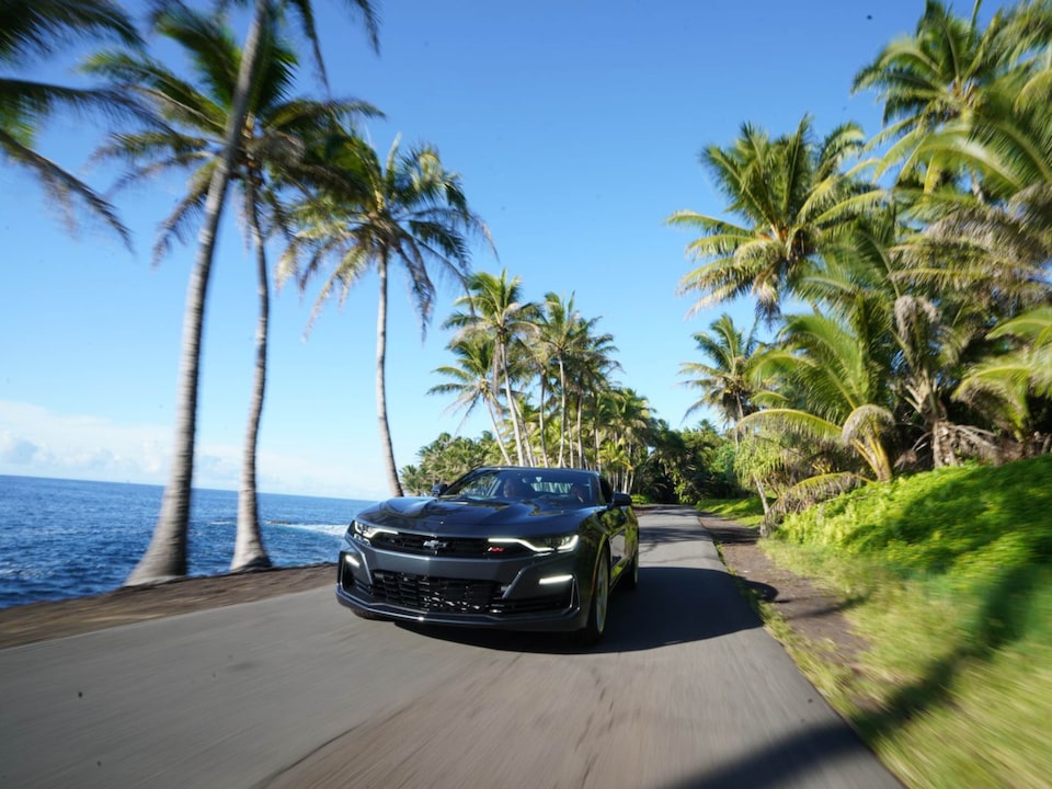 A 2020 Camaro SS is seen from the front on a flat paved road lined with palm trees next to the ocean.