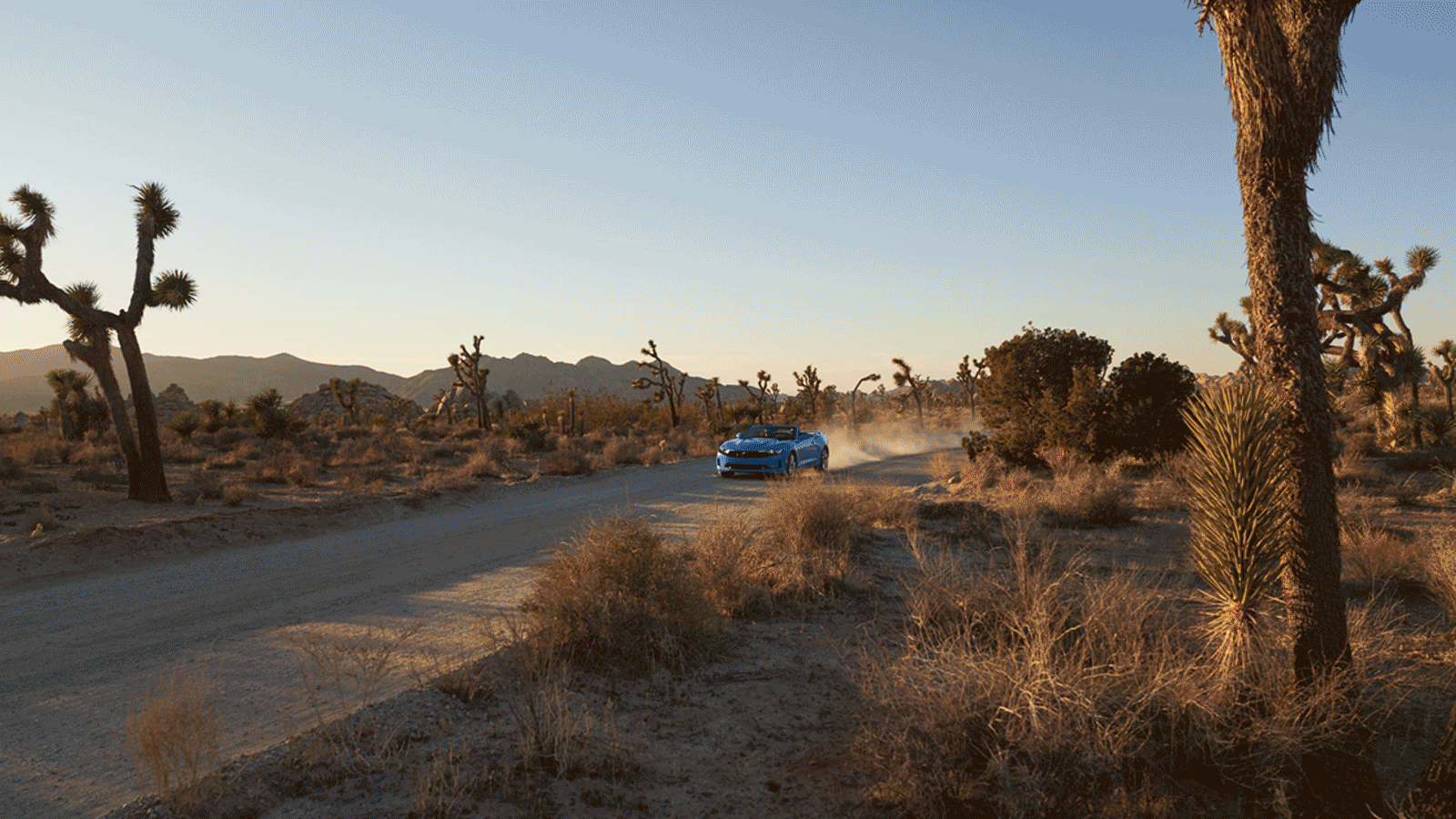 Un Camaro Convertible azul conduciendo por un camino de tierra en el Parque Nacional Joshua Tree con un gran cielo azul en lo alto.