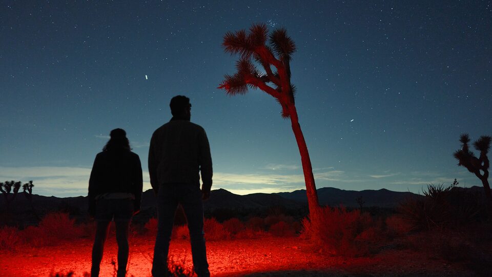 Dos personas recortadas contra el cielo al anochecer en el Parque Nacional Joshua Tree.