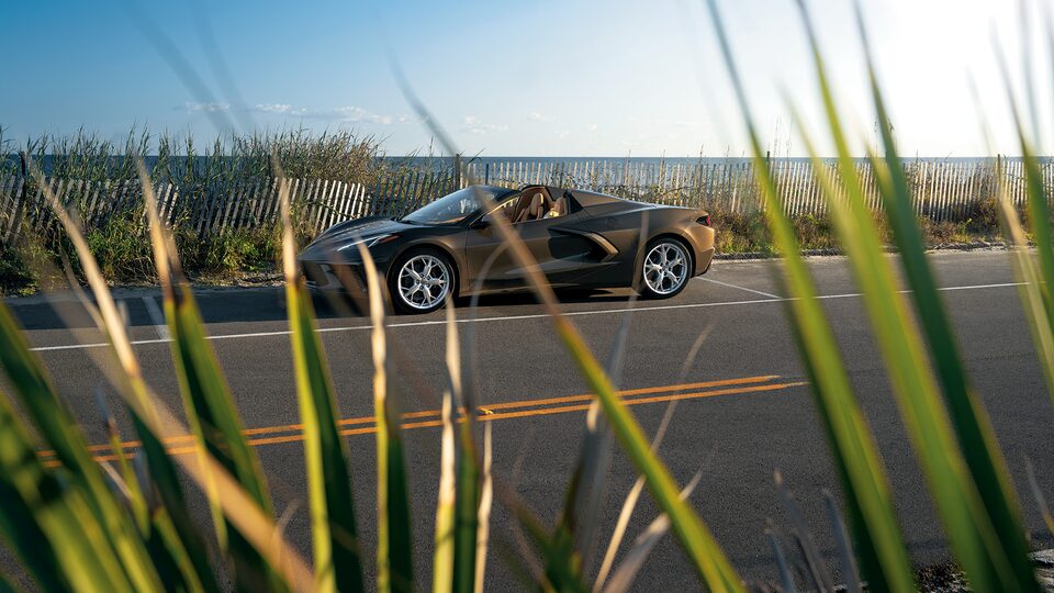Un Corvette Convertible 2020 en Bronce Zeus Metálico visto a través de hojas de palmeras en una carretera de la costa de Carolina del Sur.