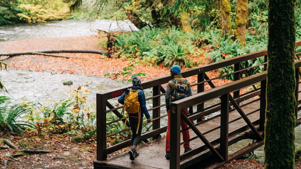 Dos personas paradas en un puente de madera en un bosque.