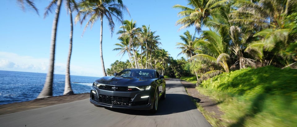 A 2020 Camaro SS is seen from the front on a flat paved road lined with palm trees next to the ocean.