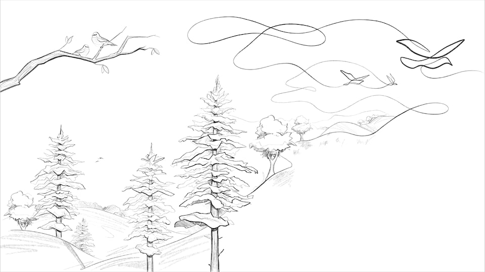 A black-and-white pencil line drawing of evergreen trees on the side of a hill, with birds flying away from the trees. The sketch is made using a single unbroken line.