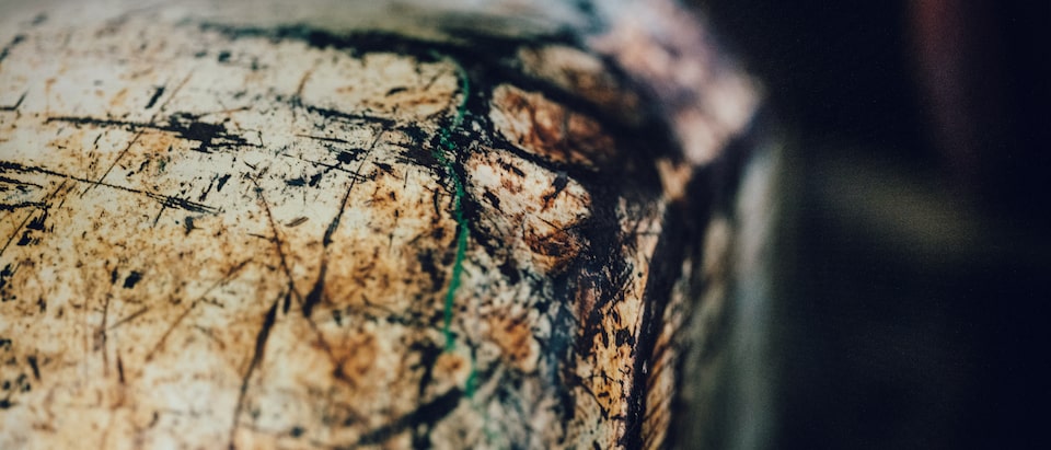A close-up of a rusted, scratched fender of an old white truck.