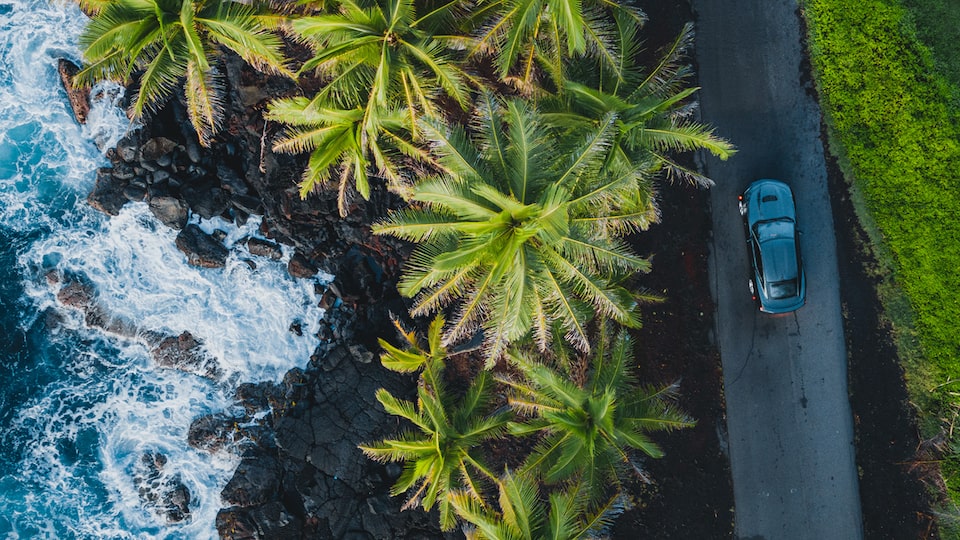 An aerial view of a black 2020 Camaro SS stopped on a single-lane road with palm trees, a rocky shore, and the ocean on the driver’s side.