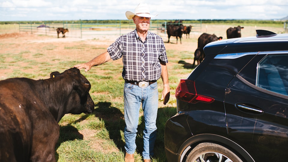 El dueño del Bolt EV Henry Akers con su vehículo y una de sus vacas.