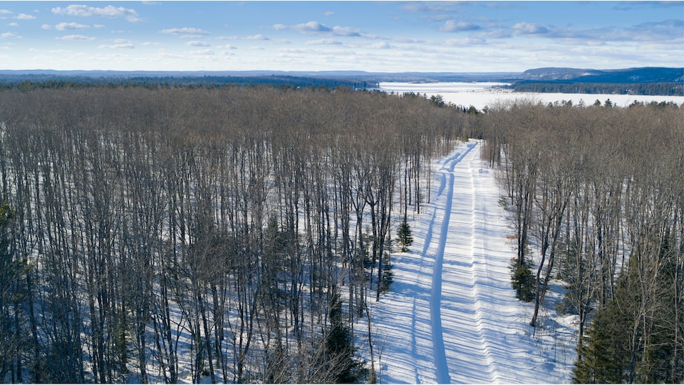 A drone shot of a snow-covered road through a forest leading to a frozen lake.