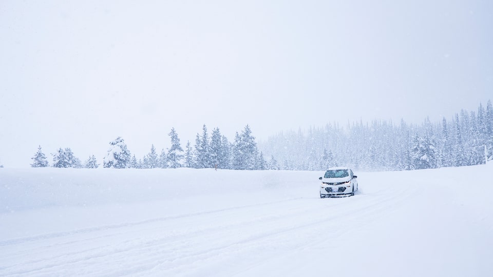 A white Bolt EV alone on a snow-covered road with a snowy forest in the background.