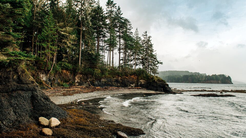 The rocky, tree-lined shore of a lake or bay, with waves lapping the shore and low gray clouds hanging overhead.