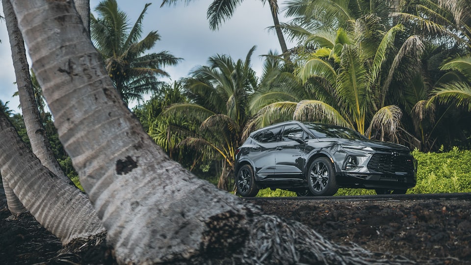 A black Chevrolet Blazer is stopped on a roadway lined with palm trees.