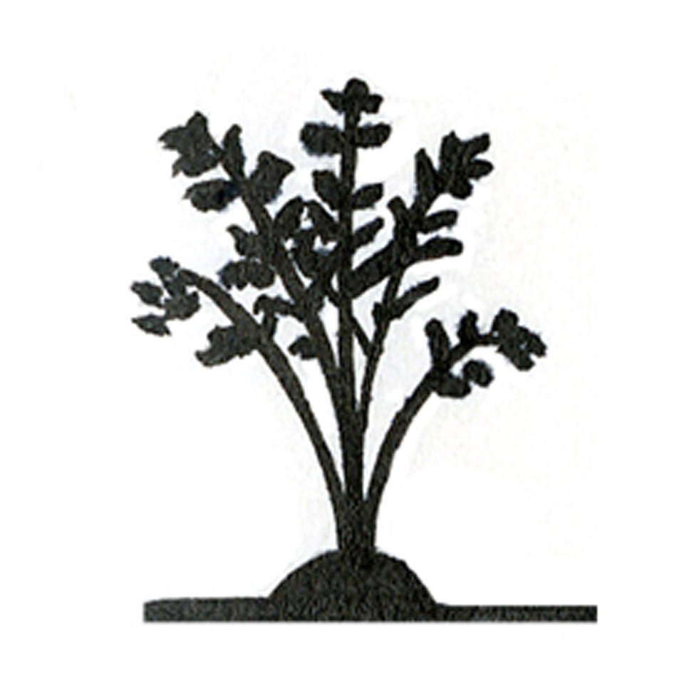 Ilustración de una planta.
