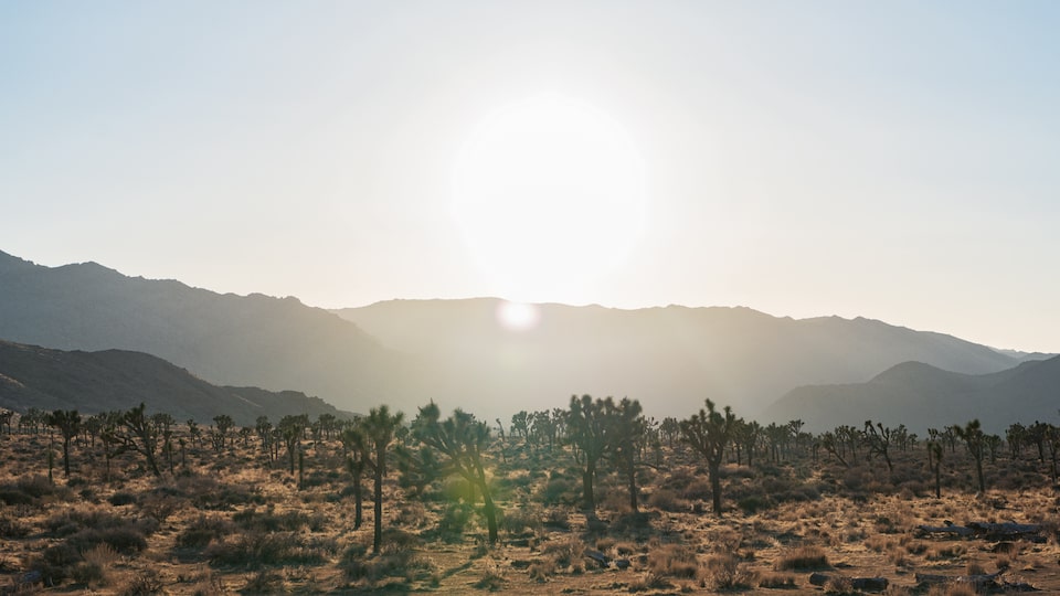 The sun sits low on the horizon behind a desert expanse.