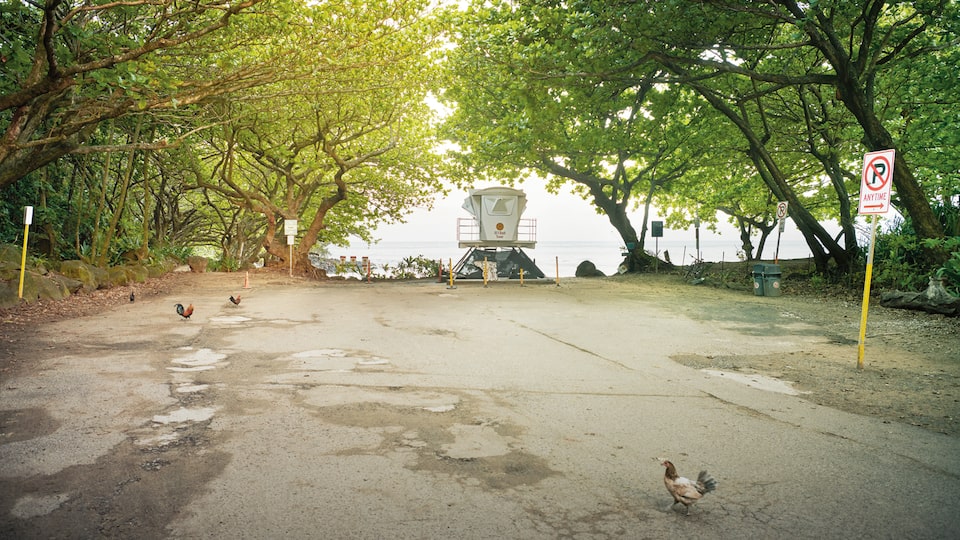 Kuhio Highway in Hawaii ends at Ke'e State Beach Park.