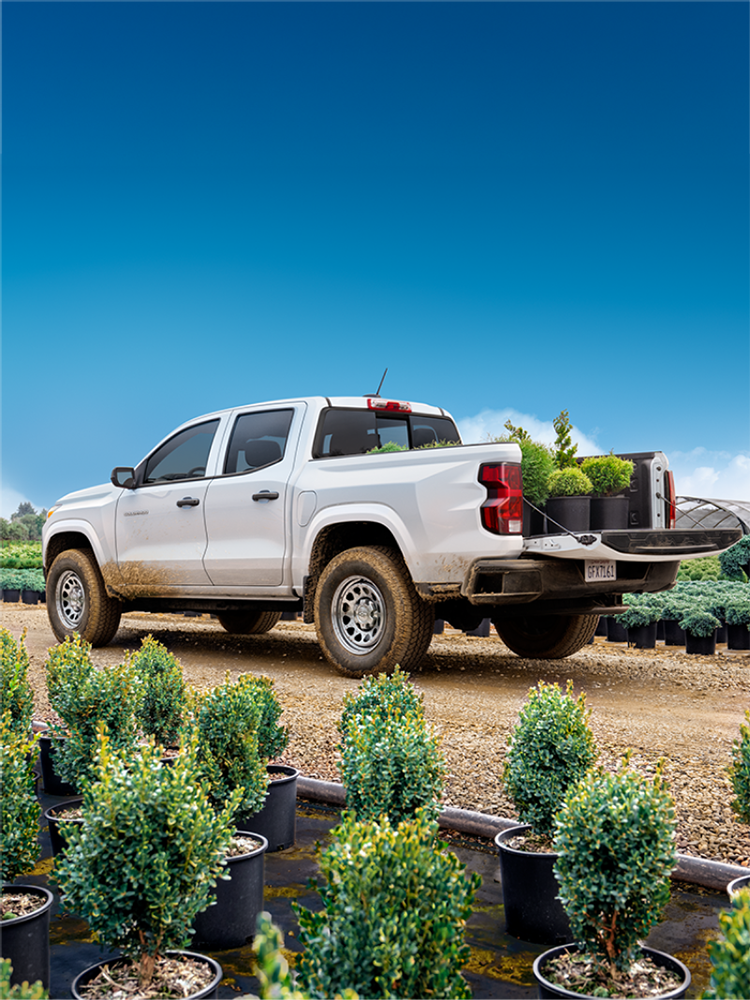 Un hombre cargando plantas en la caja de su Chevy Colorado 2026 comercial