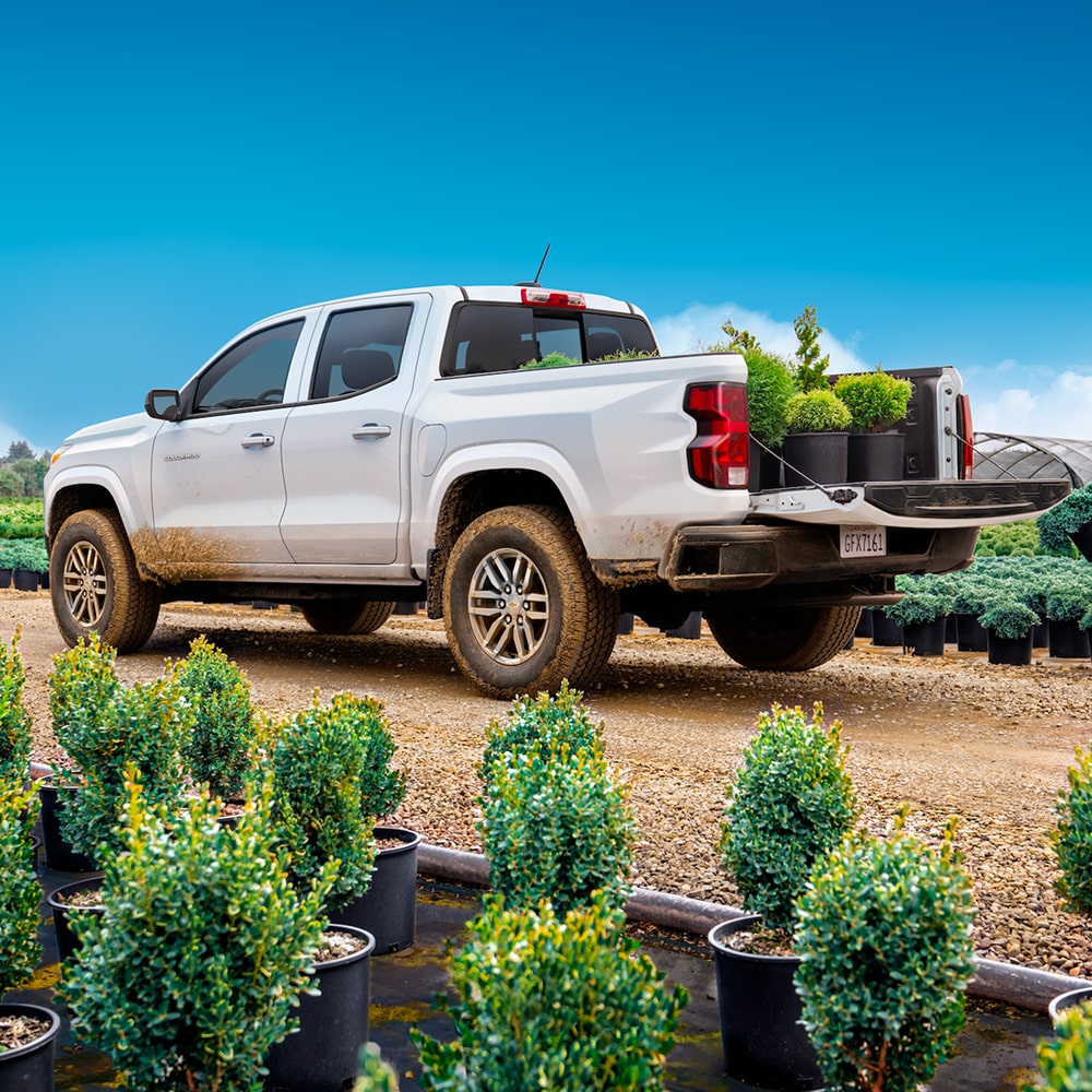 Chevy Colorado comercial en Blanco llevando materiales de paisajismo y plantas en macetas en la caja de la camioneta en un vivero.