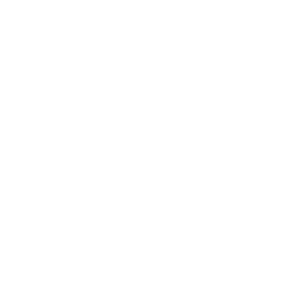 Brake Pads and Rotors Icon
