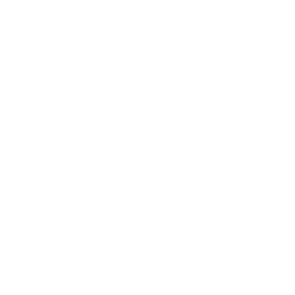 Tires Icon