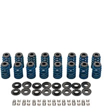 Chevy Performance LS LT Valves and Valve Springs