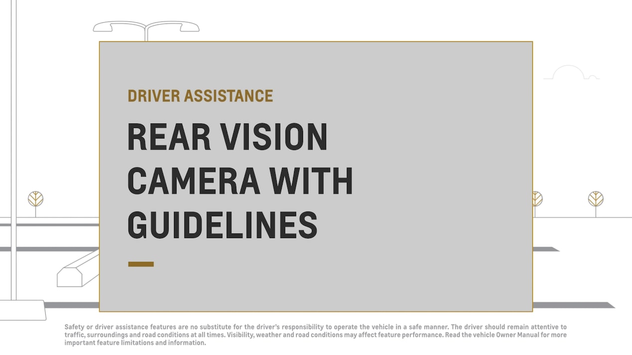 rear vision camera with guidelines